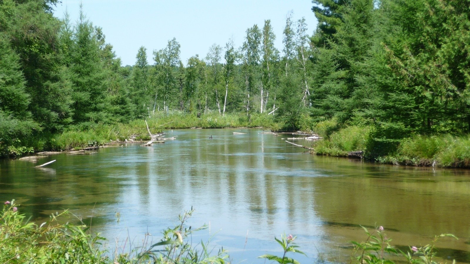 Petition · Enact fishing regulation change and gear restriction for the