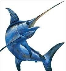 ChangeOrg profile picture for @swordfish