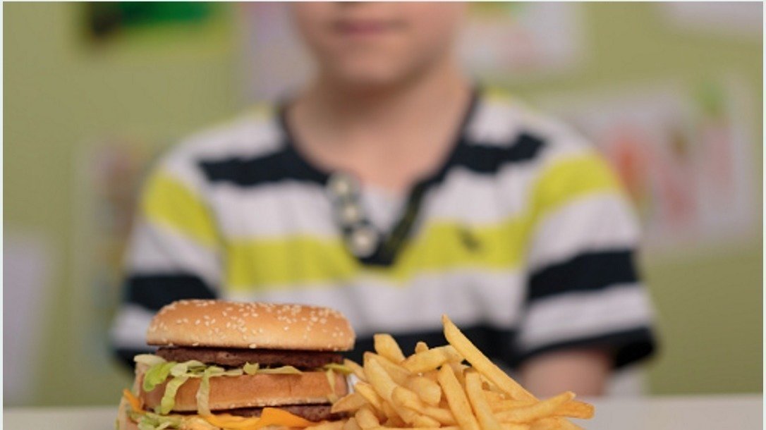 Petition · Junk Food in Our Schools United States ·