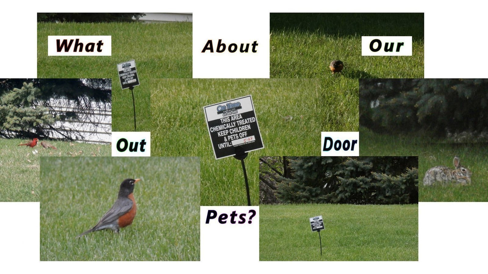 Petition · Ban pesticides in yards with bird feeders ·