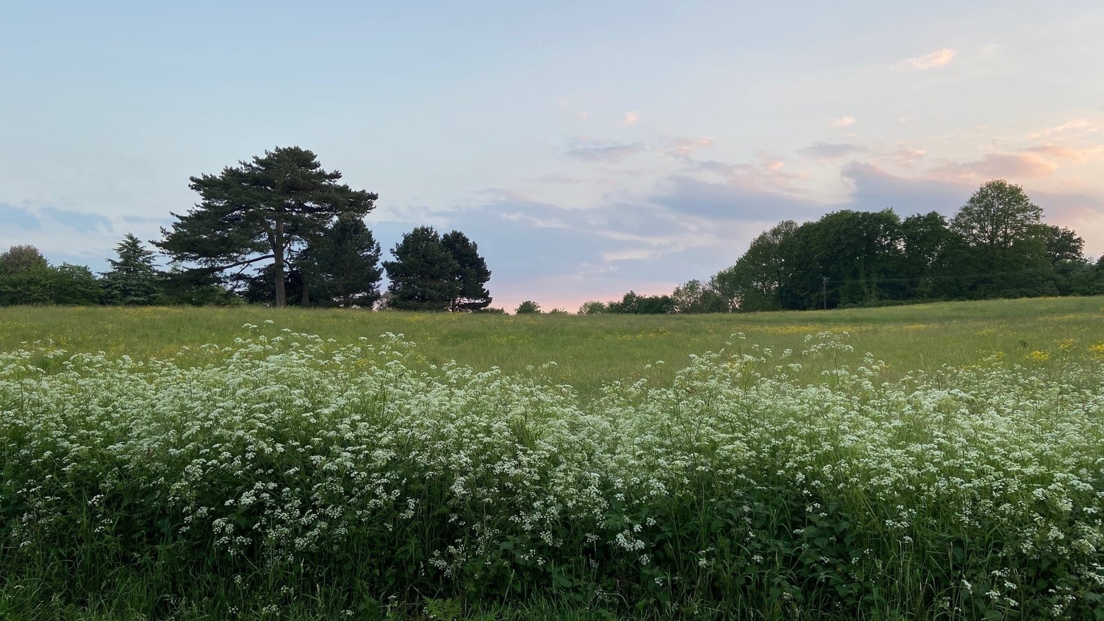 Petition · No Western Bypass Through Our Valley Canterbury, United