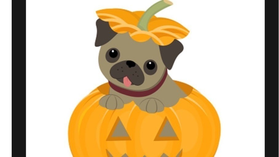 Petition · No school on the day after Halloween Arlington, United States ·