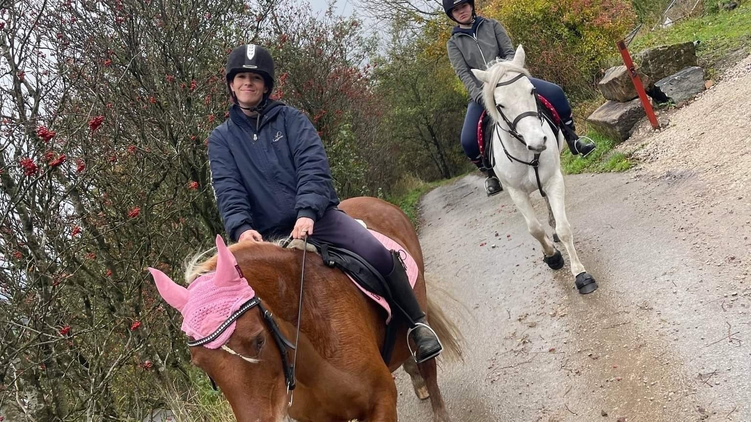 Petition · Desperately needed! Horse and rider safety signs. Grains Bar