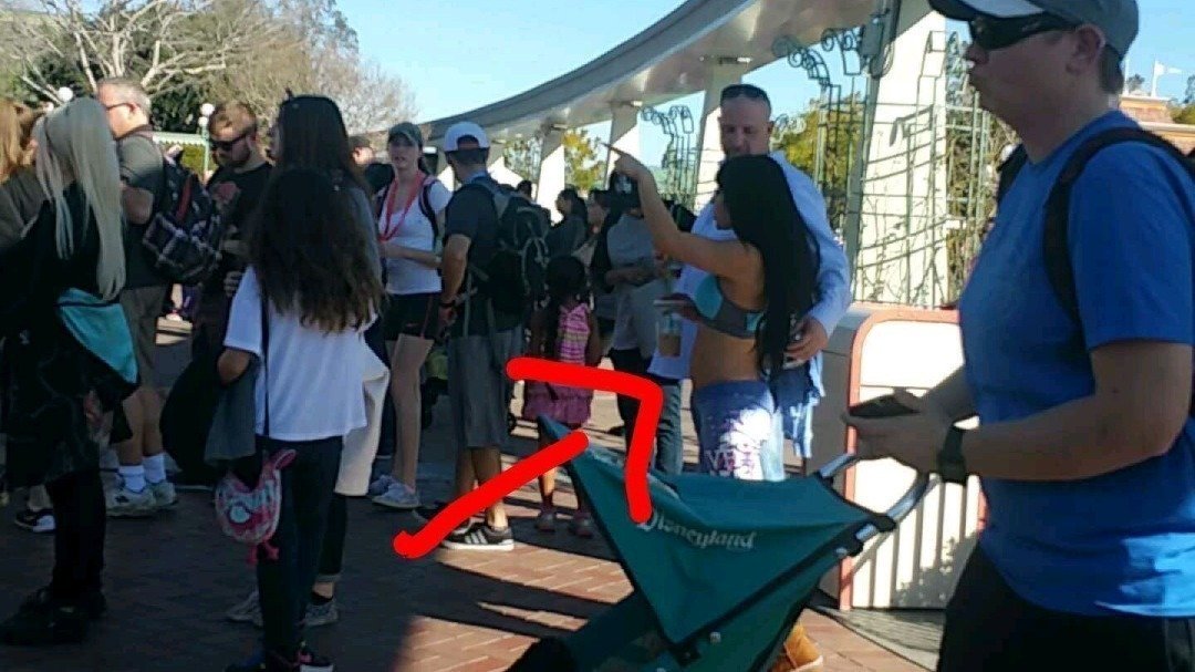 Petition · To have Disneyland enforce a stricter dress code United