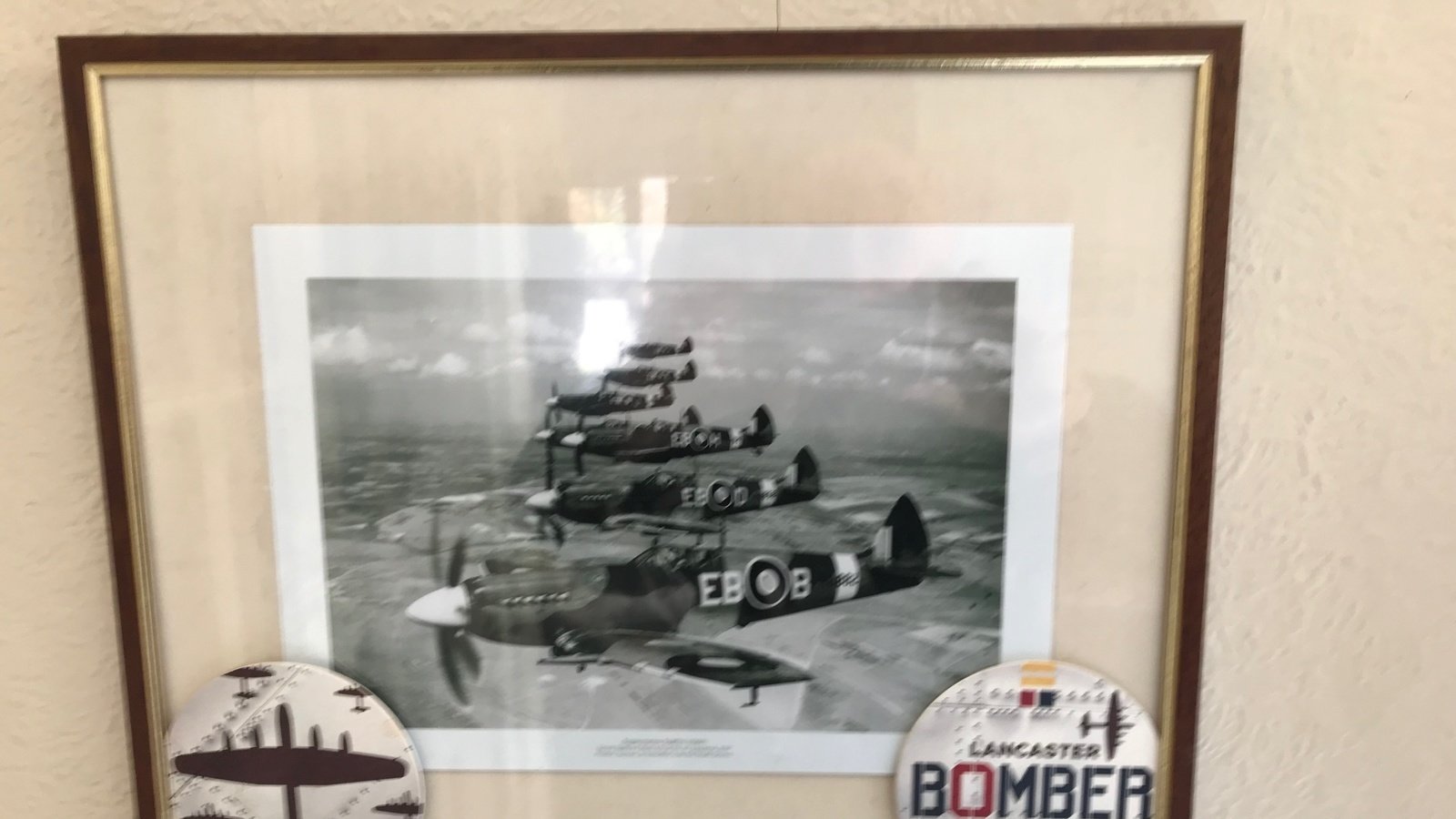 Petition · Hazel Hills recognition in the spitfires design 13 years old