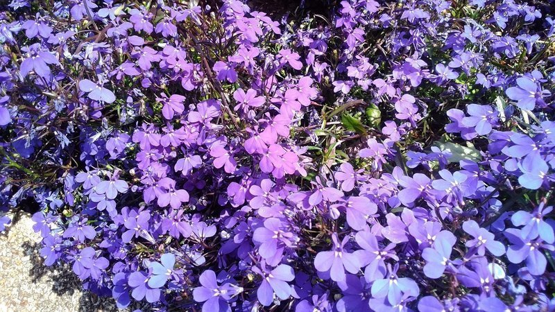 Petition Update ご賛同ありがとうございます あぁ勘違い 余談 Change Org