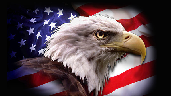 Petition Change The Republican Parties Mascot To A Femboy Eagle Change