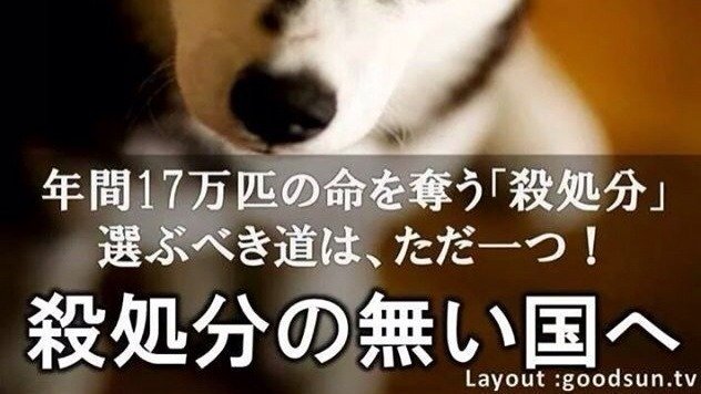 キャンペーン 犬の殺処分全国中止 Change Org