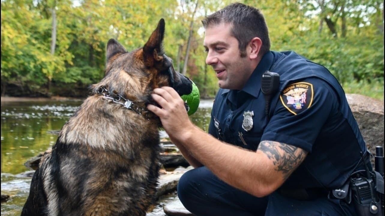 Petition · Bedford Heights Police need to return canine Bosco, to the