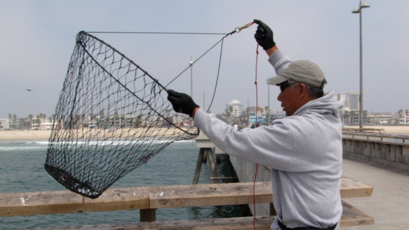 Petition · Investigate DDT and Forever Chemicals Protect LA’s