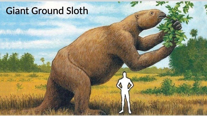 Petition · Move the Giant Ground Sloth Skeleton to the Building 2 Lobby