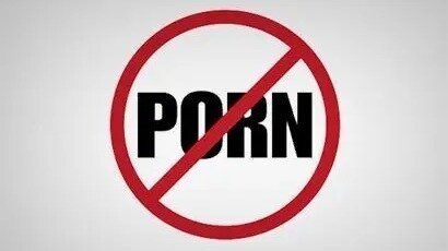Petition · Criminalize Pornography in The U . S. - United States