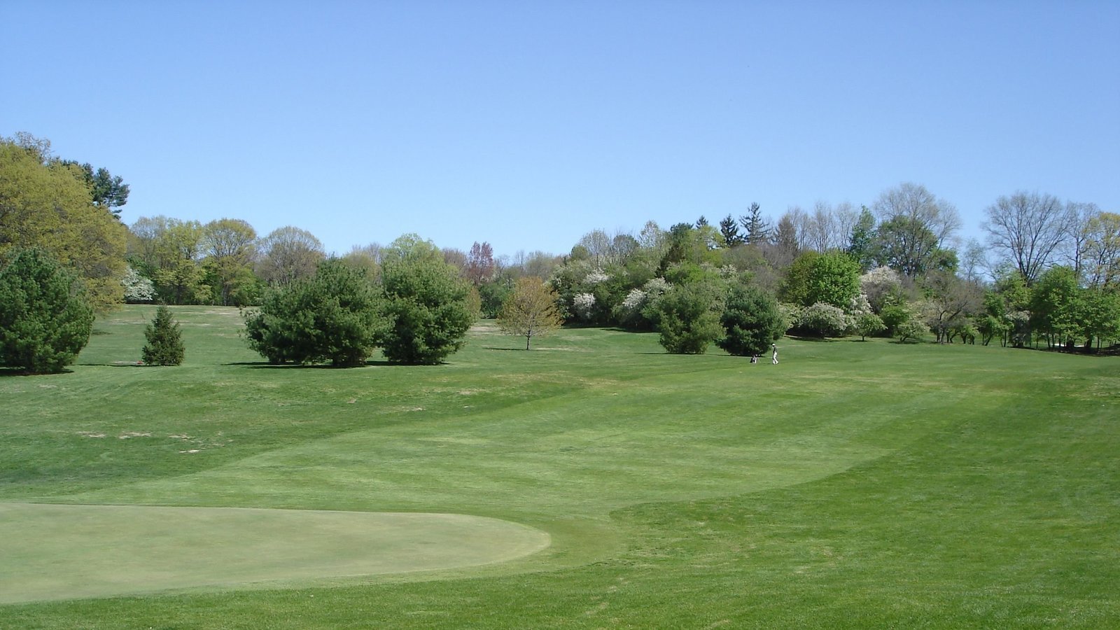 Petición · Replace the Vassar College Golf Course with a Solar Array