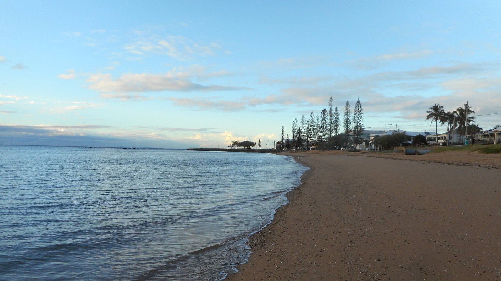Petition · Keep Queens Beach North dog free Australia ·