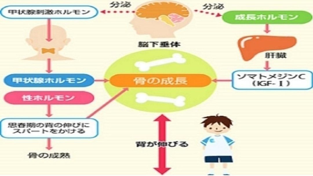 キャンペーン 指定難病の治療を子供に続けさせて下さい Change Org