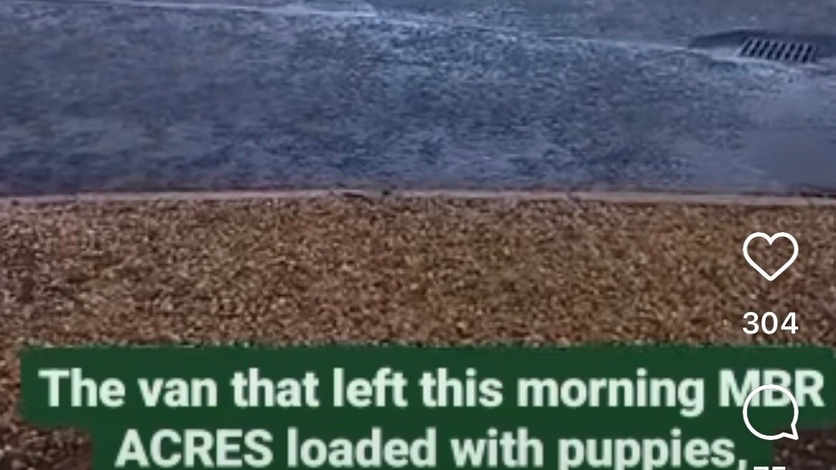 Petition update · BREAKING Impex Van leaves MBR Acres loaded with