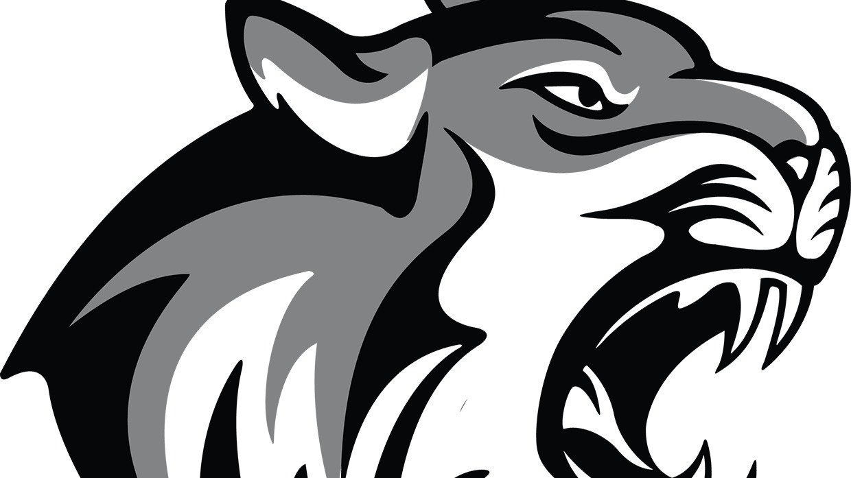 Petition · Bring Back Off Campus Lunch Willard MO ·