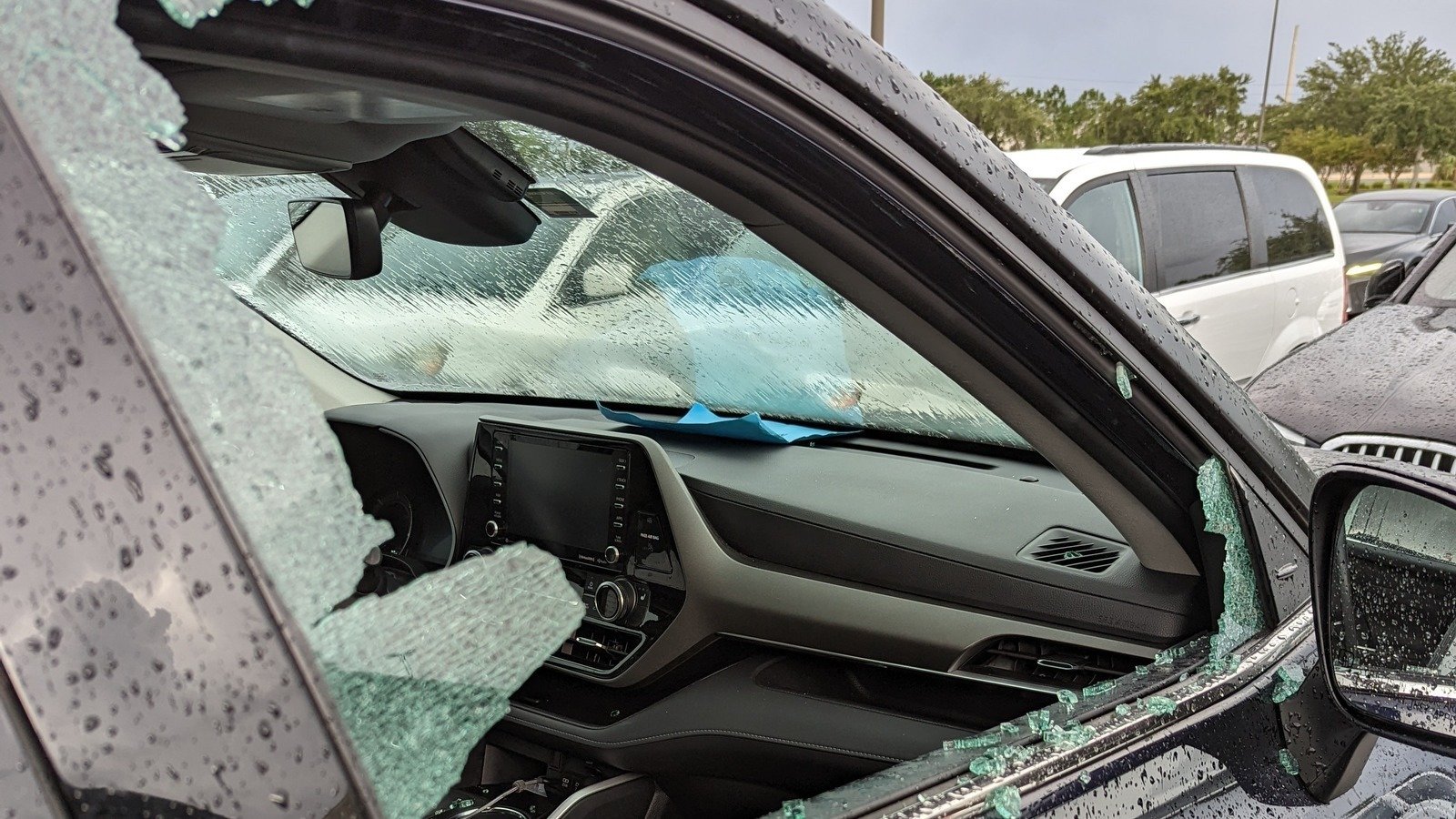 Petition · Prevent Hot Car Deaths Insurance Amnesty for Rescue Window