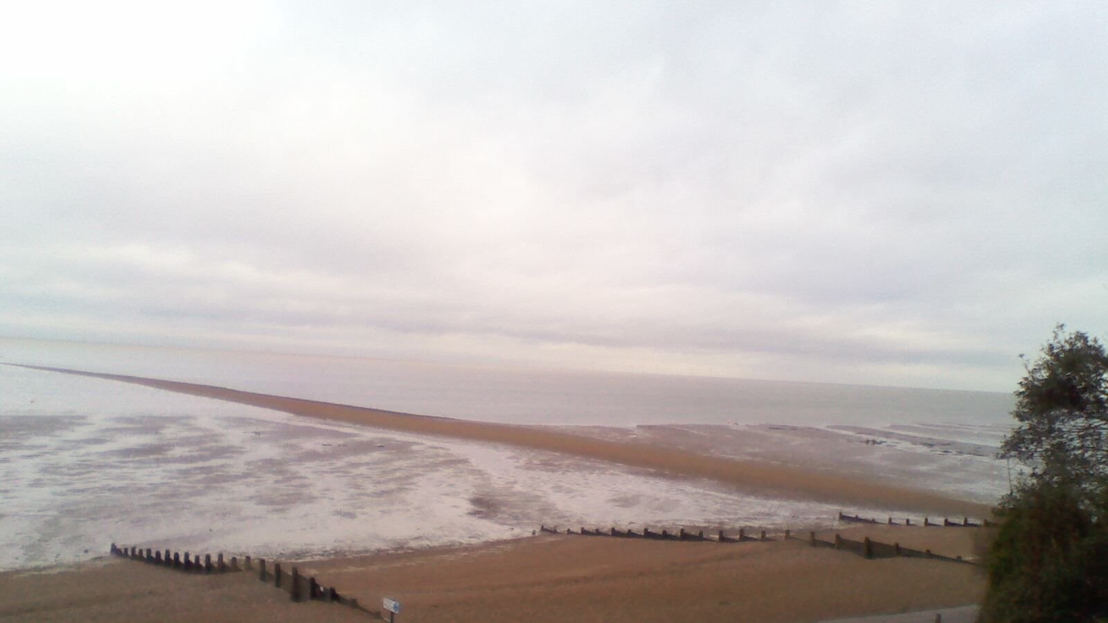 Petition · Canterbury City Council proposal to extend the summer dog ...