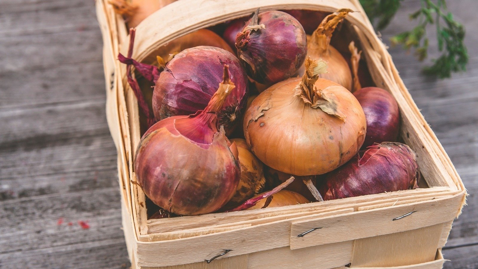 Petition · Repeal 7 U . S . C. § 131, the Onion Futures Act, and