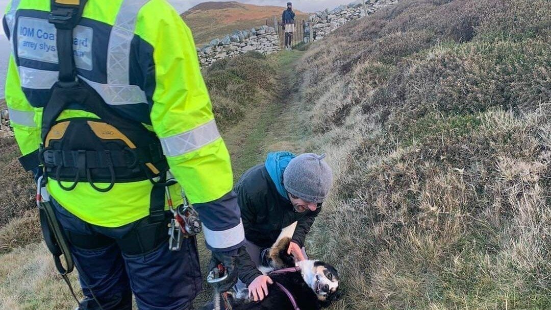 Petition · Implement Mandatory Leash Laws for Dogs on Peel Hill Isle