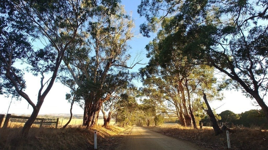 Petition · Bitumen for Pennyroyal Valley Road Australia ·