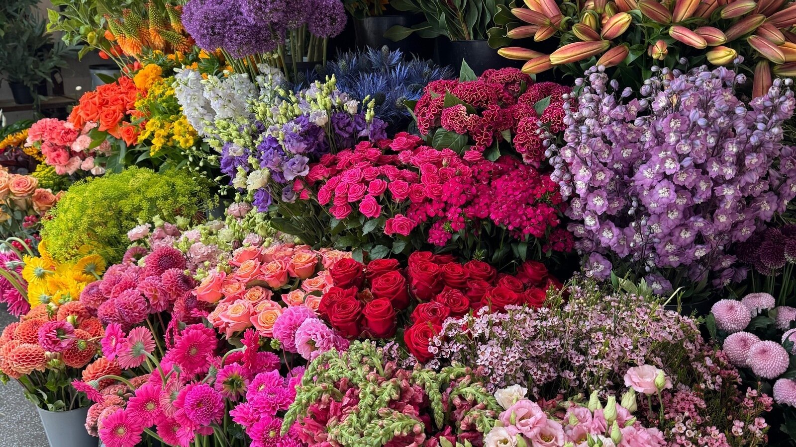 petition-allow-the-community-flower-stall-to-trade-at-clapham