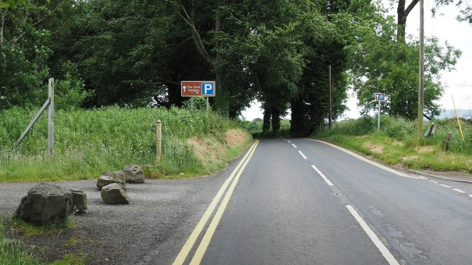 Petition · Stop the Removal of Double Yellow Lines @ THE DARK HEDGES
