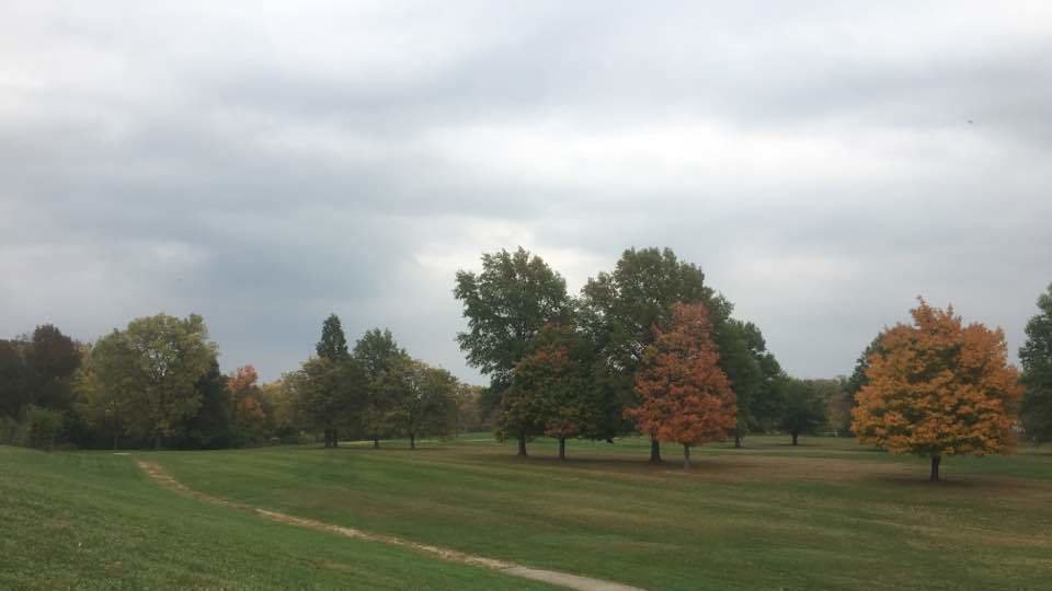 Petition · Keep Kingswood Park United States ·