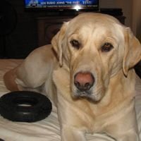 ChangeOrg profile picture for @tug