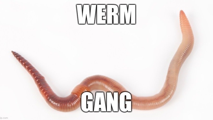 Petition · Change spelling for “worm” to “werm” United States