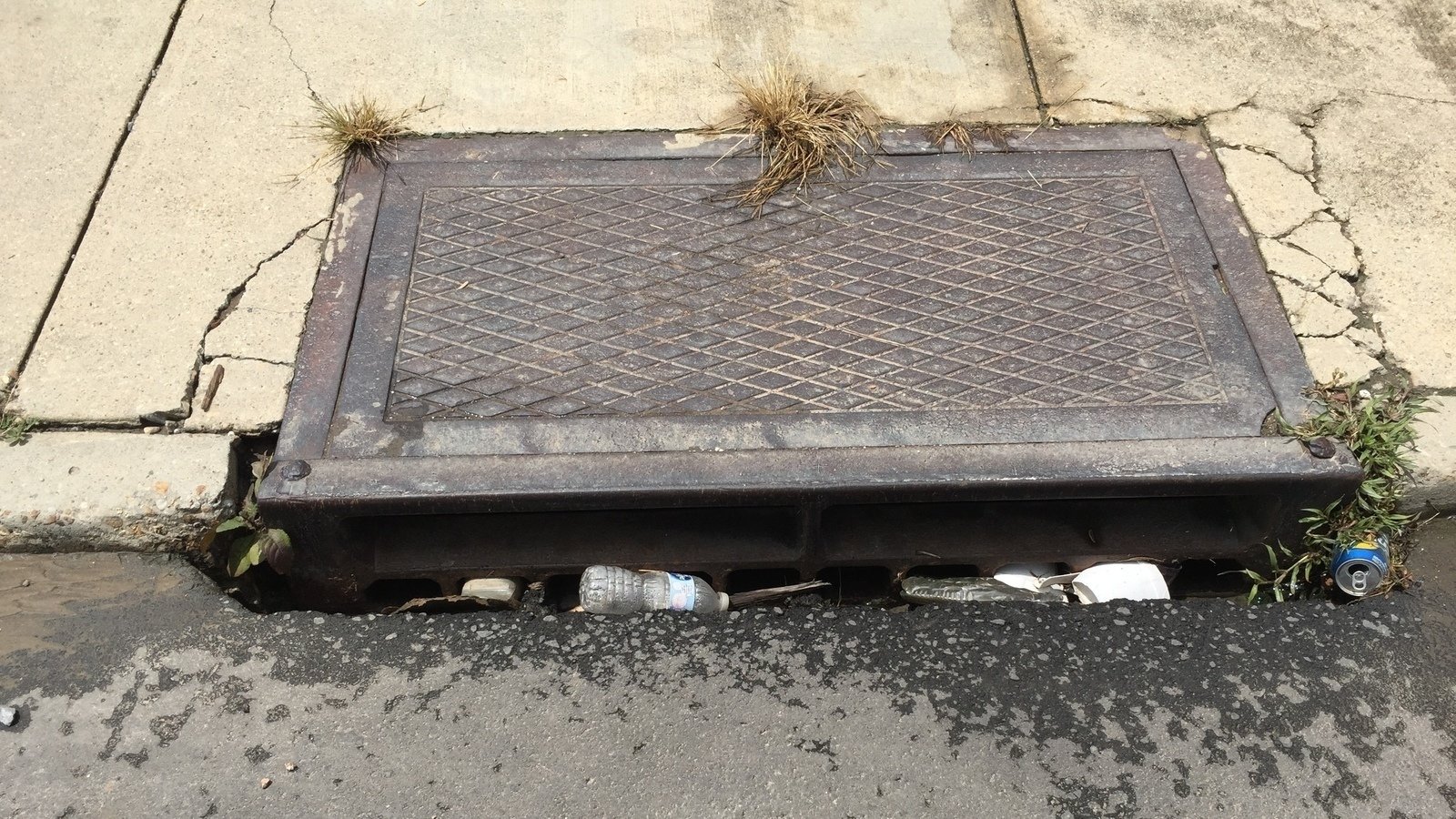 Petition · Place ALL City Hall workers on cleanup duty until every