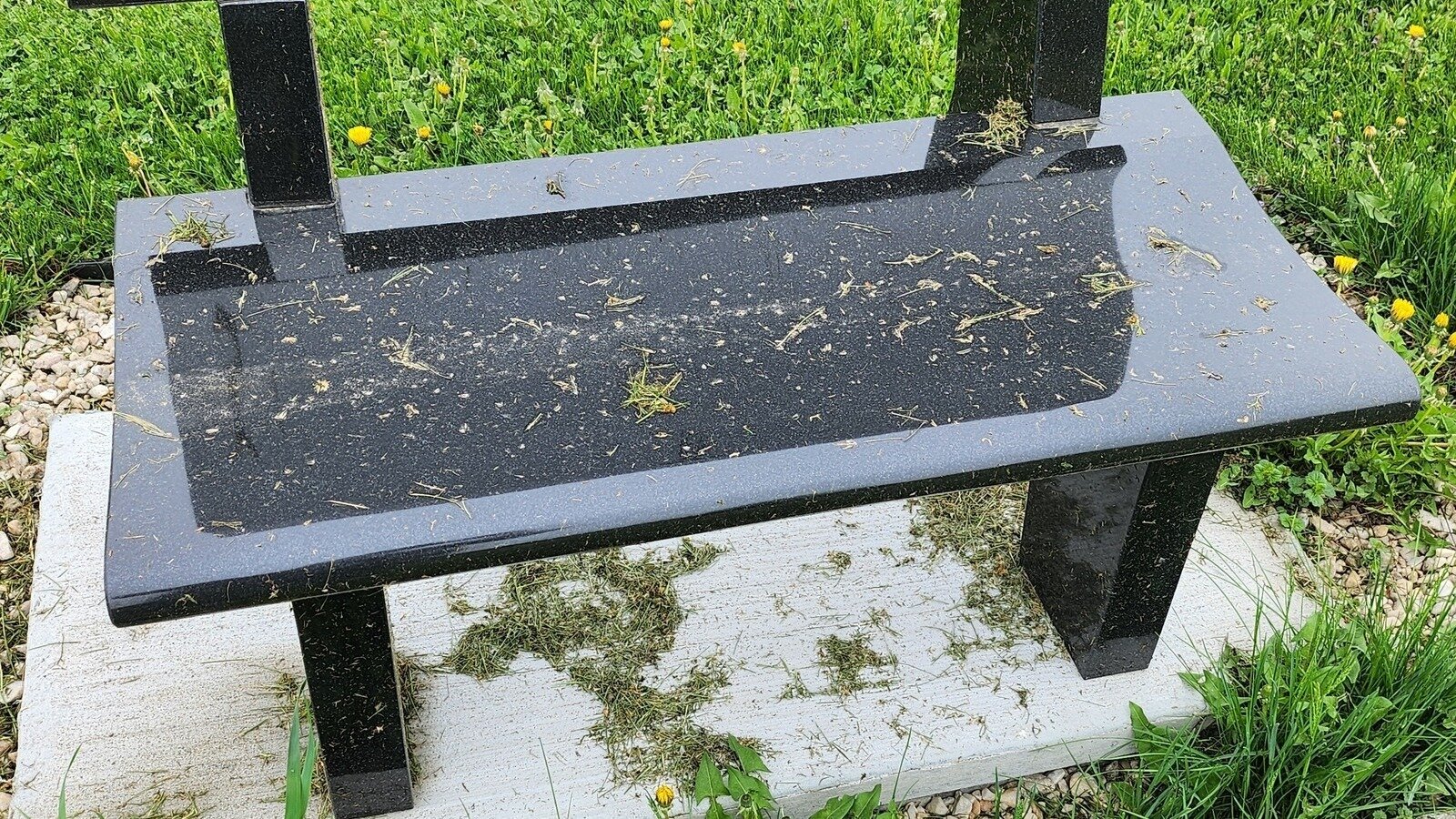 Petition · Require Linneus to Hire a New Groundskeeper for South