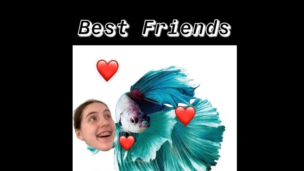 Petition · A Fwend Called Fluffy United States ·