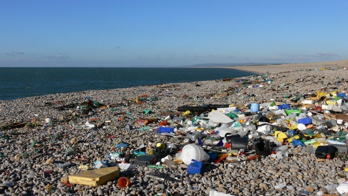 Petition · Ban plastic straws in NYC! ·