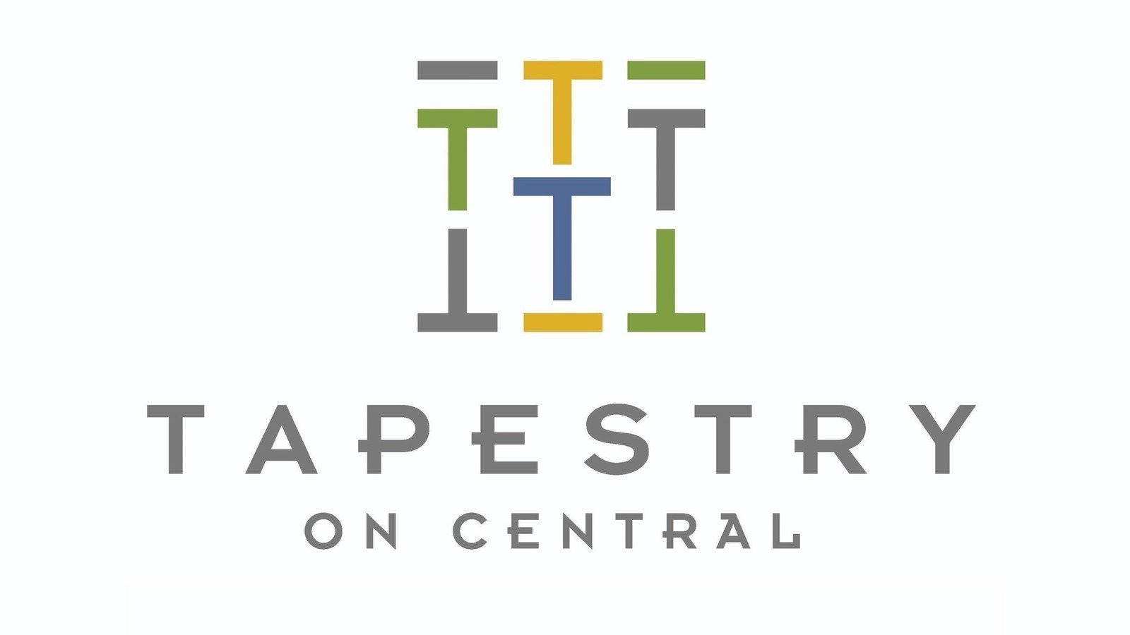 Petition · Audit of Tapestry on Central HOA & CEV Banking Accounts