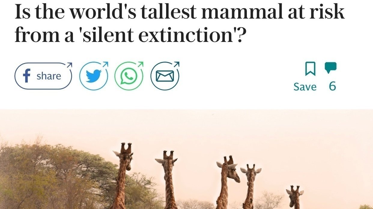 Petition · Stop poaching giraffes before it’s too late ·