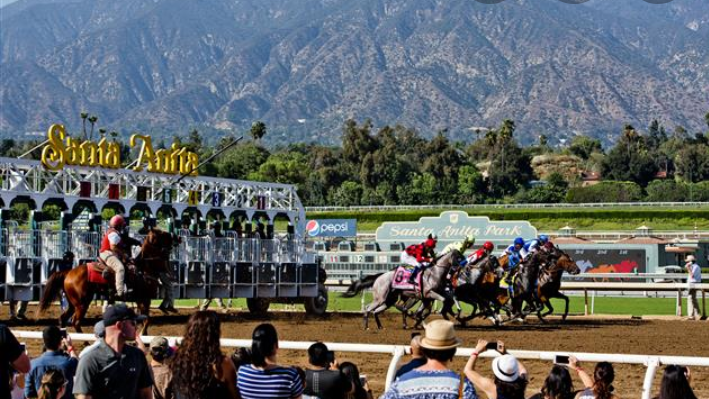 Petition The Closing Of Santa Anita Park Change Petition The Closing Of Santa Anita Park Change