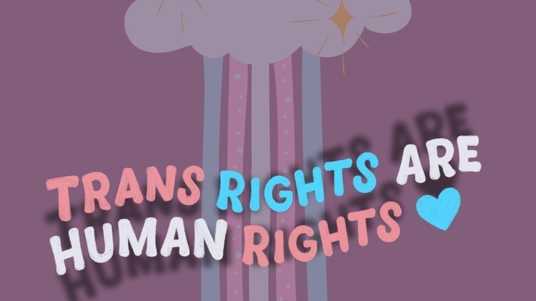 Petition · Demand DPS to allow Trans and NonBinary Texans to change