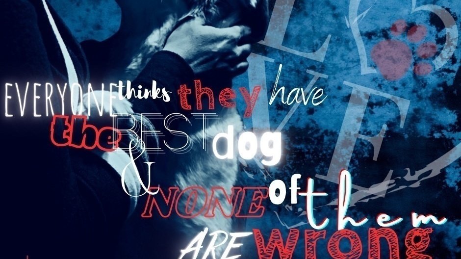 Petition · Dogs to be considered dependents and not property. United