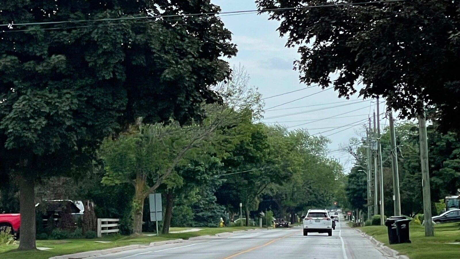 Petition · Stop the removal of 36 trees on our street for bike lanes ...