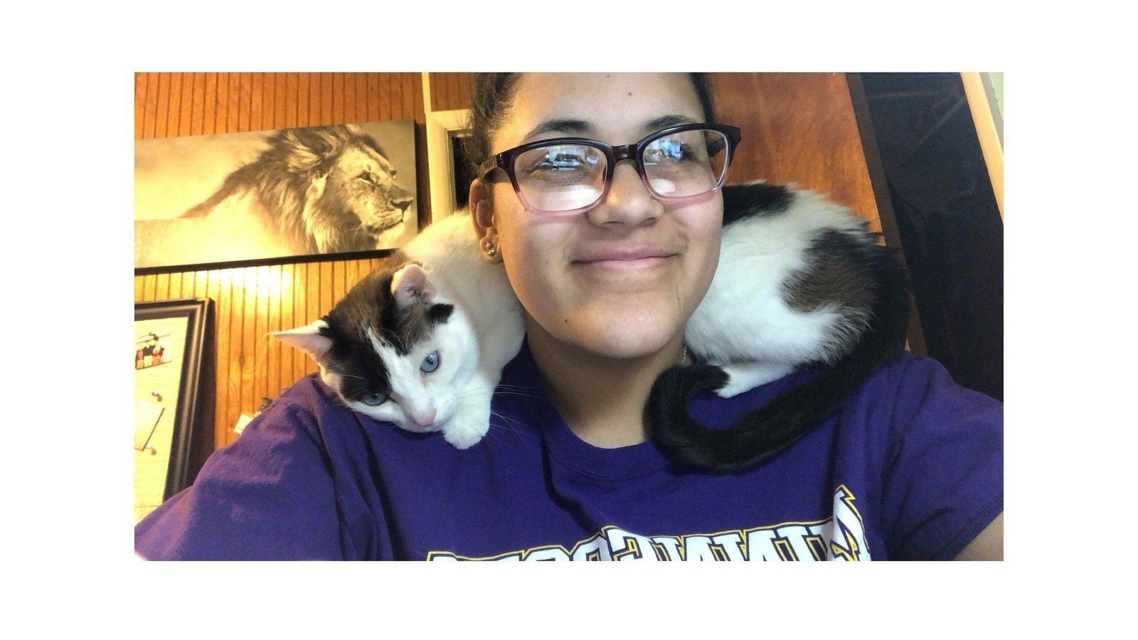 Petition · Bring my cat to college United States ·