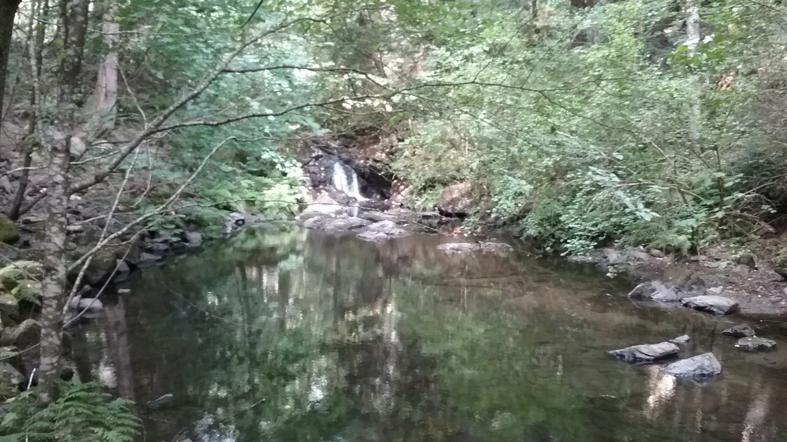 Petition · Preserve Millstream ·