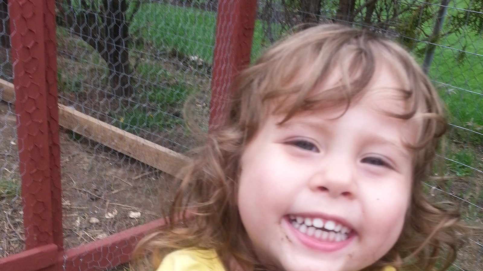 Petition · ALLOW BACK YARD/HOBBY/THERAPY CHICKENS Rockford, United