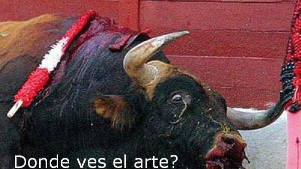 Resultado de imagen para MATANZA DE TOROS