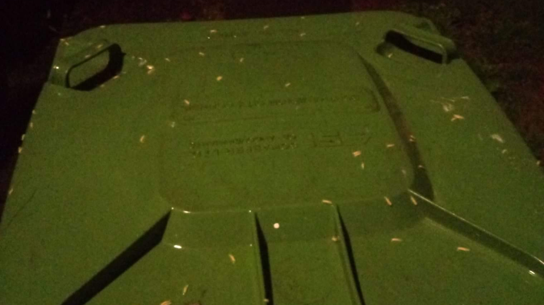 Petition · Southampton city council to change bin collections back to weekly ·