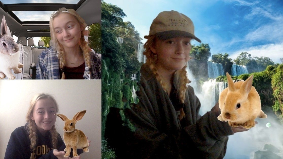 Petition · Petition: My Parents Should Let Me Get a Rabbit - United ...