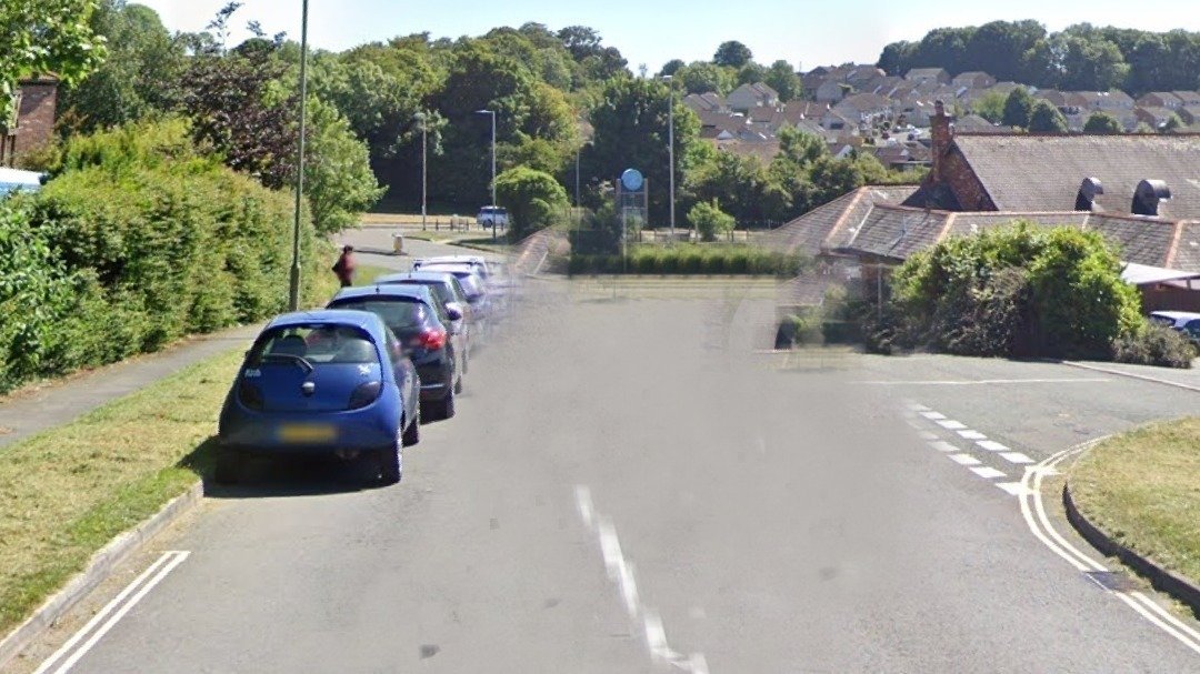 Petition · Extend Double Yellow Lines On Steer Park Road - United