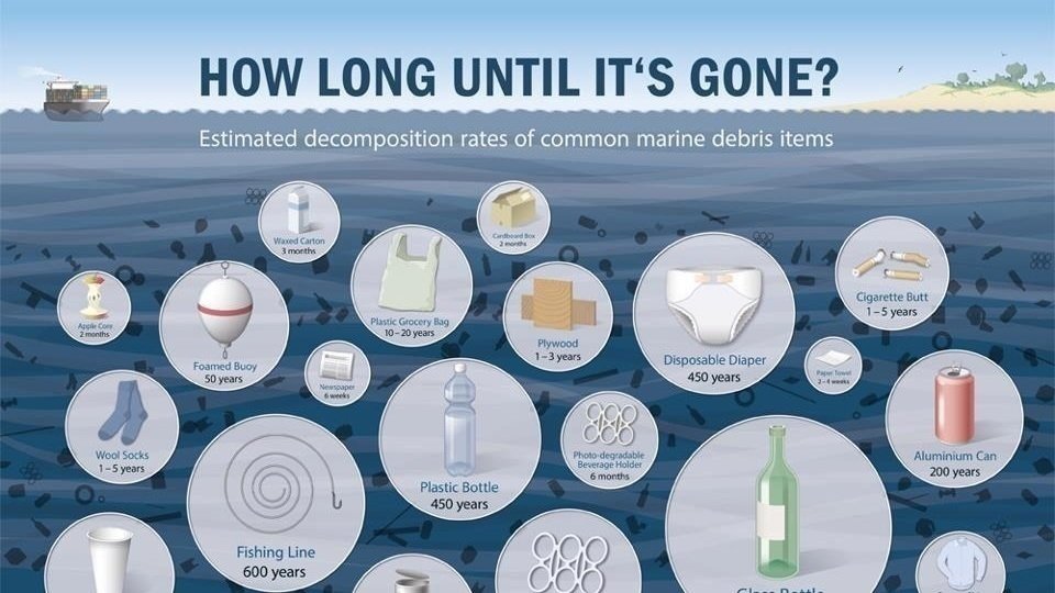 Petition · Ban styrofoam and single use plastics in Washington State