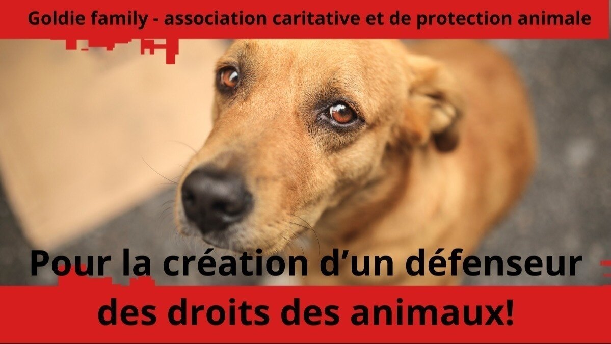 Pétition · Créez un poste de défenseur des droits des animaux en France — free download